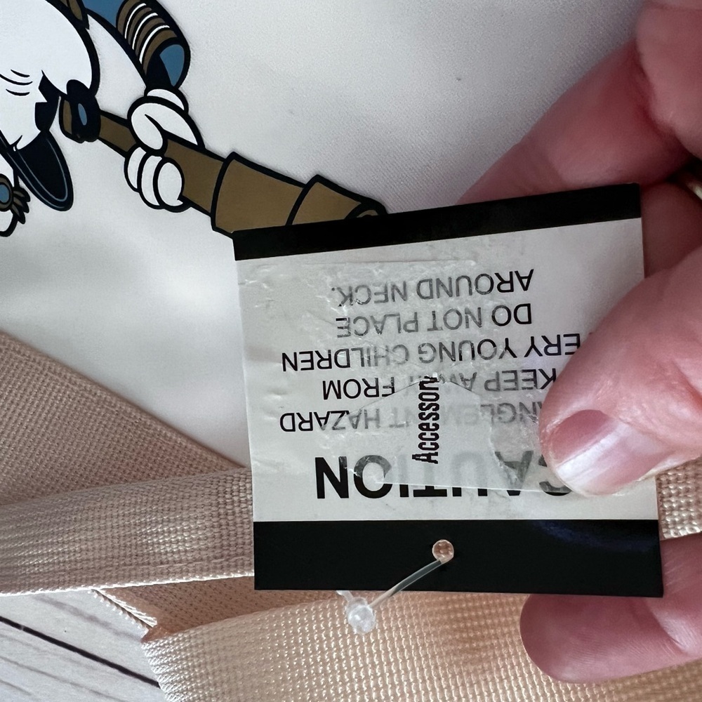 NWT Disney Wish Inaugural Sailings Tote and - Picture 7 of 16